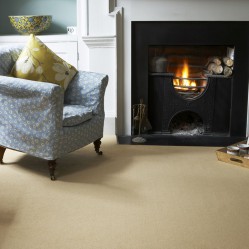 Sandy Coloured Living Room Carpet