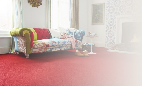 Red Carpet in Living Room