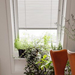 White Office Blinds